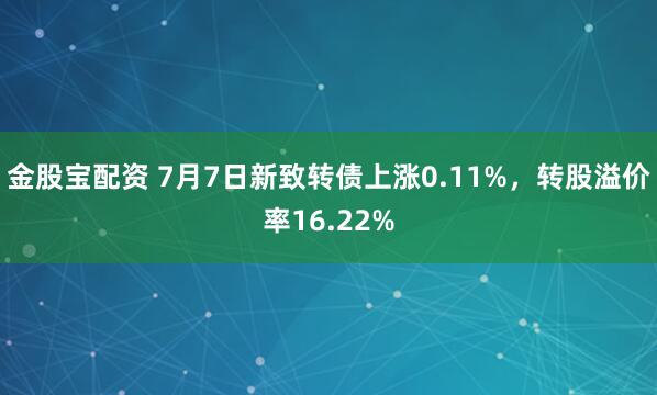金股宝配资 7月7日新致转债上涨0.11%，转股溢价率16.22%