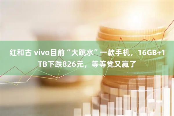 红和古 vivo目前“大跳水”一款手机，16GB+1TB下跌826元，等等党又赢了